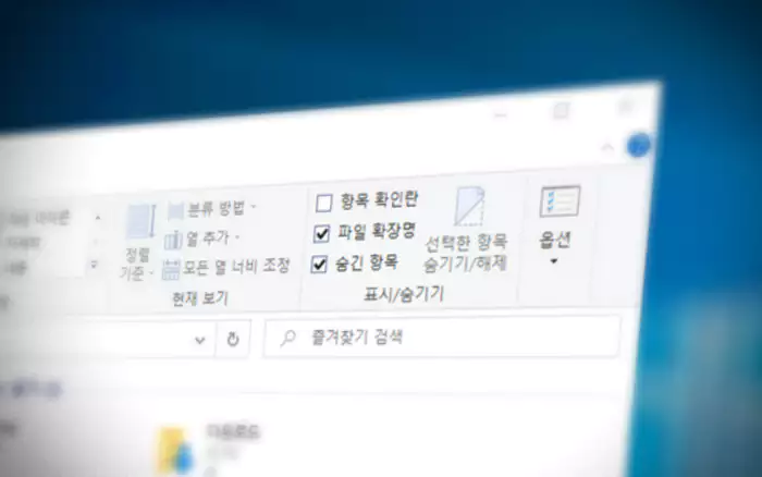 WWW 파일 탐색기 파일 확장명 리본 메뉴
